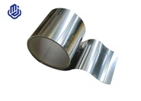 Itin plona titano folija balso diafragmai